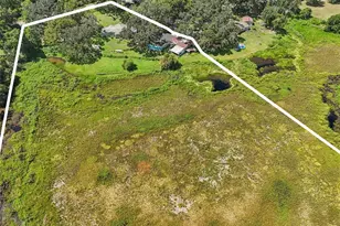 29235 Bayhead Rd, Dade City, FL 33523 - Photo 63