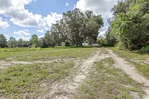 107 Fawn Ct, Davenport, FL 33837 - Photo 51