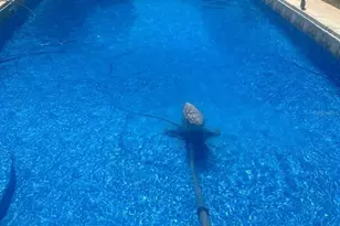 1505 Ave F NE, Winter Haven, FL 33881 - Photo 11