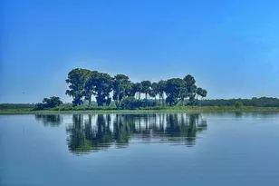 0 Jennings Fish Camp Rd, Lake Wales, FL 33898 - Photo 7