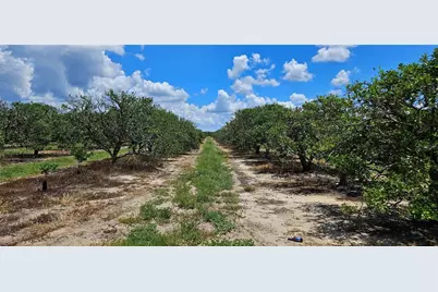 [Address not provided], Lake Wales, FL 33898 - Photo 7