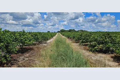 [Address not provided], Lake Wales, FL 33898 - Photo 3