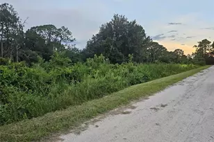 112 Draycott Ave, Lake Placid, FL 33852 - Photo 5