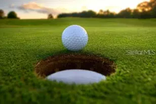 4496 Strathmore Dr, Lake Wales, FL 33859 - Photo 57