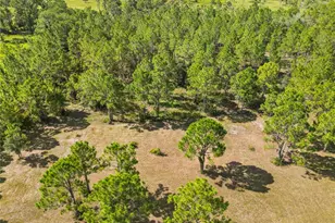 1360 Collany Ln, Frostproof, FL 33843 - Photo 41