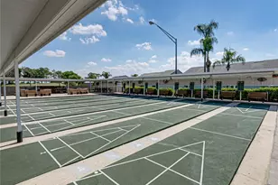 6059 Condor Dr, Lakeland, FL 33809 - Photo 87