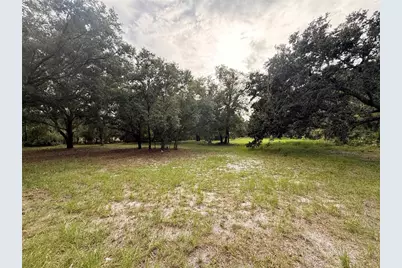 7805 Turkey Creek Road, Plant City, FL 33567 - Photo 1