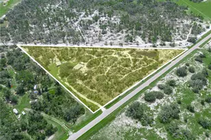 4836 Cr 665, Ona, FL 33865 - Photo 5