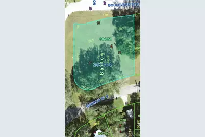 E Church Street, Bartow, FL 33830 - Photo 3