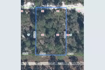 556 Parakeet Avenue, Sebring, FL 33872 - Photo 5