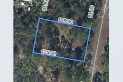 320 Blue Heaven Drive, Lake Placid, FL 33852 - Photo 1