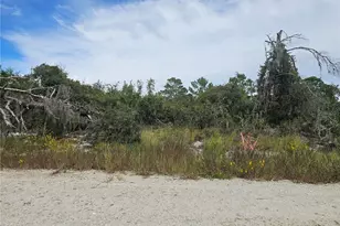 123 Patton Ave, Lake Placid, FL 33852 - Photo 1