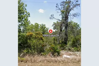 1009 Lotus Street, Lake Placid, FL 33852 - Photo 3