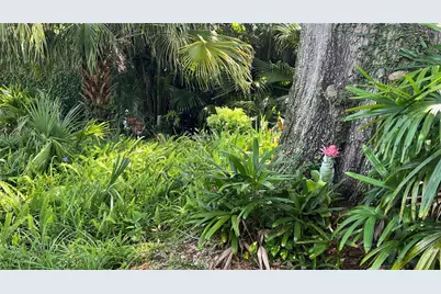 1549 Drexel Ave NE, Winter Haven, FL 33881 - Photo 51