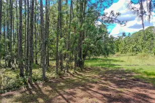 747 Miranda Trail, Lakeland, FL 33809 - Photo 9