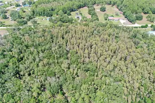 747 Miranda Trail, Lakeland, FL 33809 - Photo 3