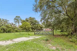 205 Wildlife Trail, Lakeland, FL 33809 - Photo 9