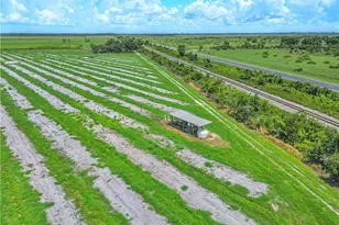 8495 County Rd 621, Lorida, FL 33857 - Photo 5