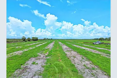 8495 County Road 621, Lorida, FL 33857 - Photo 23