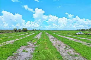 8495 County Rd 621, Lorida, FL 33857 - Photo 23