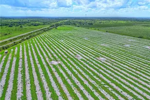 8495 County Rd 621, Lorida, FL 33857 - Photo 17