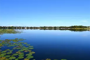 611 Old Eustis Rd, Mount Dora, FL 32757 - Photo 31
