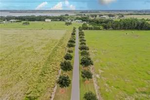 8006 Lake Lowery Rd, Haines City, FL 33844 - Photo 65