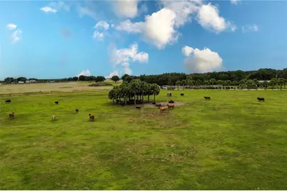 8010 Lake Lowery Road, Haines City, FL 33844 - Photo 17