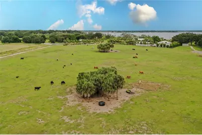 8010 Lake Lowery Road, Haines City, FL 33844 - Photo 5