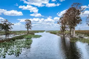 612 Dragonfly Ln, Lorida, FL 33857 - Photo 7