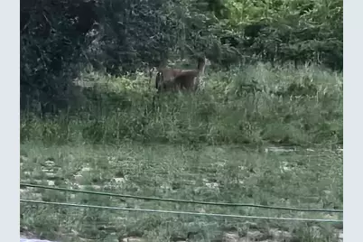 643 Fazzini Road, Babson Park, FL 33827 - Photo 19