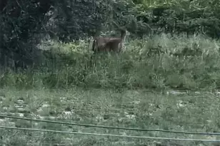 643 Fazzini Rd, Babson Park, FL 33827 - Photo 19