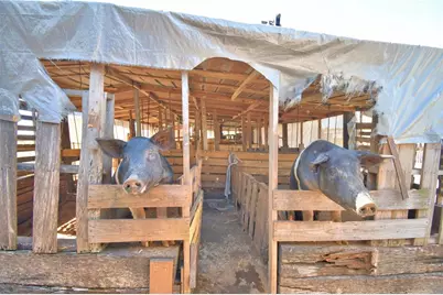 715 Fazzini Road, Babson Park, FL 33827 - Photo 79