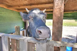 715 Fazzini Rd, Babson Park, FL 33827 - Photo 81