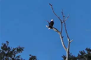 3018 Mark Ln, Lake Wales, FL 33898 - Photo 57