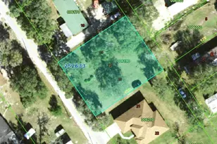 0 Smith Rd, Polk City, FL 33868 - Photo 1