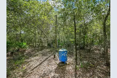 2415 Live Oak Trail, Lake Wales, FL 33898 - Photo 9