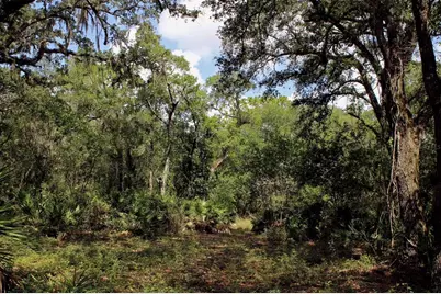 2415 Live Oak Trail, Lake Wales, FL 33898 - Photo 19