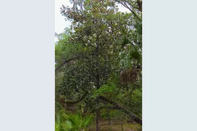 2415 Live Oak Trail, Lake Wales, FL 33898 - Photo 21