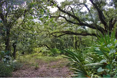 2415 Live Oak Trail, Lake Wales, FL 33898 - Photo 15