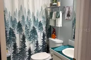 6239 Knotty Pine Dr S E, Winter Haven, FL 33884 - Photo 19