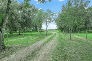 3963 Mammoth Grove Rd, Lake Wales, FL 33898 - Photo 41