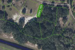 1009 Arney Ct, Sebring, FL 33876 - Photo 5