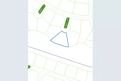 1009 Arney Court, Sebring, FL 33876 - Photo 3