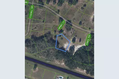 1009 Arney Court, Sebring, FL 33876 - Photo 1