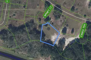 1009 Arney Ct, Sebring, FL 33876 - Photo 1