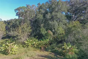 5013 Greenbriar Rd, Lakeland, FL 33810 - Photo 17