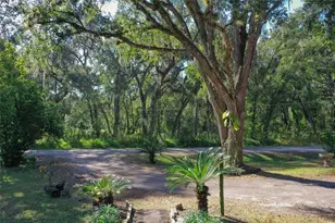 5013 Greenbriar Rd, Lakeland, FL 33810 - Photo 13