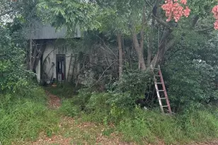 4998 Lake Lowery Rd, Haines City, FL 33844 - Photo 13