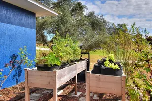 36 Fairway Dr, Babson Park, FL 33827 - Photo 37